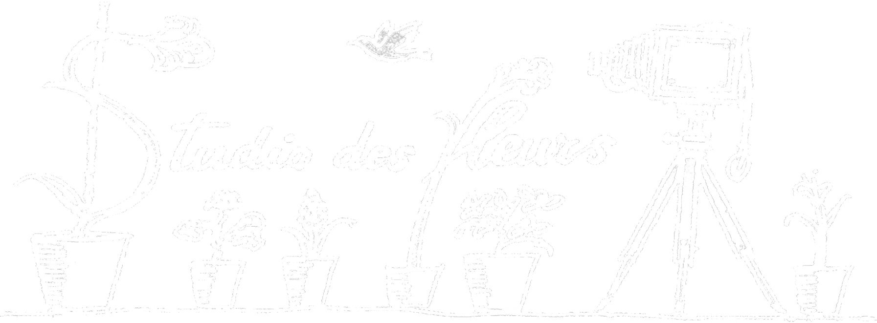 Studio des Fleurs Logo